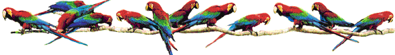 Animated Parrots