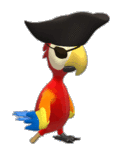 pirate Parrot